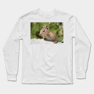 Young cascade golden-mantled ground squirrel Long Sleeve T-Shirt